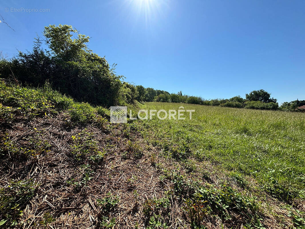 Terrain à VILLEBRUMIER
