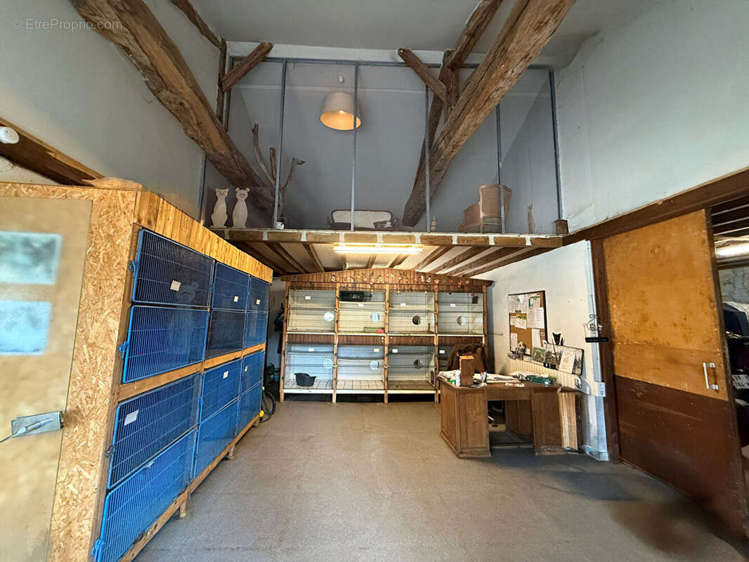 Maison à SAINT-DIDIER-SUR-CHALARONNE