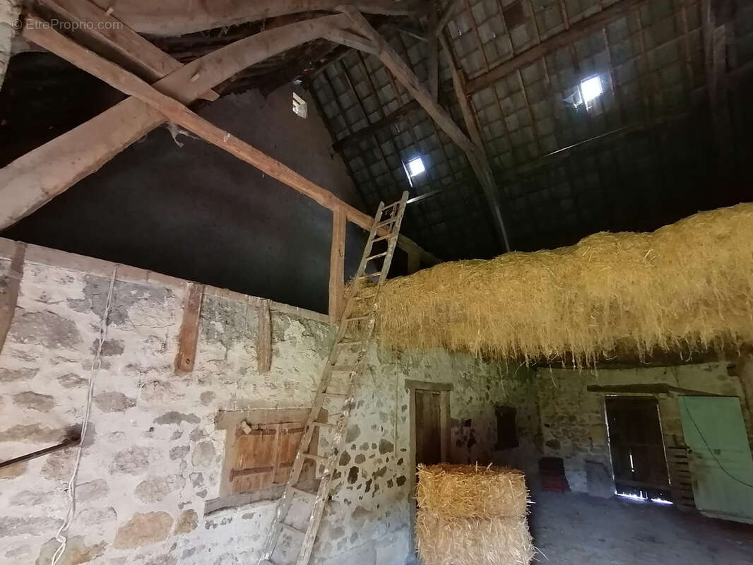 Ancien corps de ferme sur plus d'un hectare ! - photo 4
