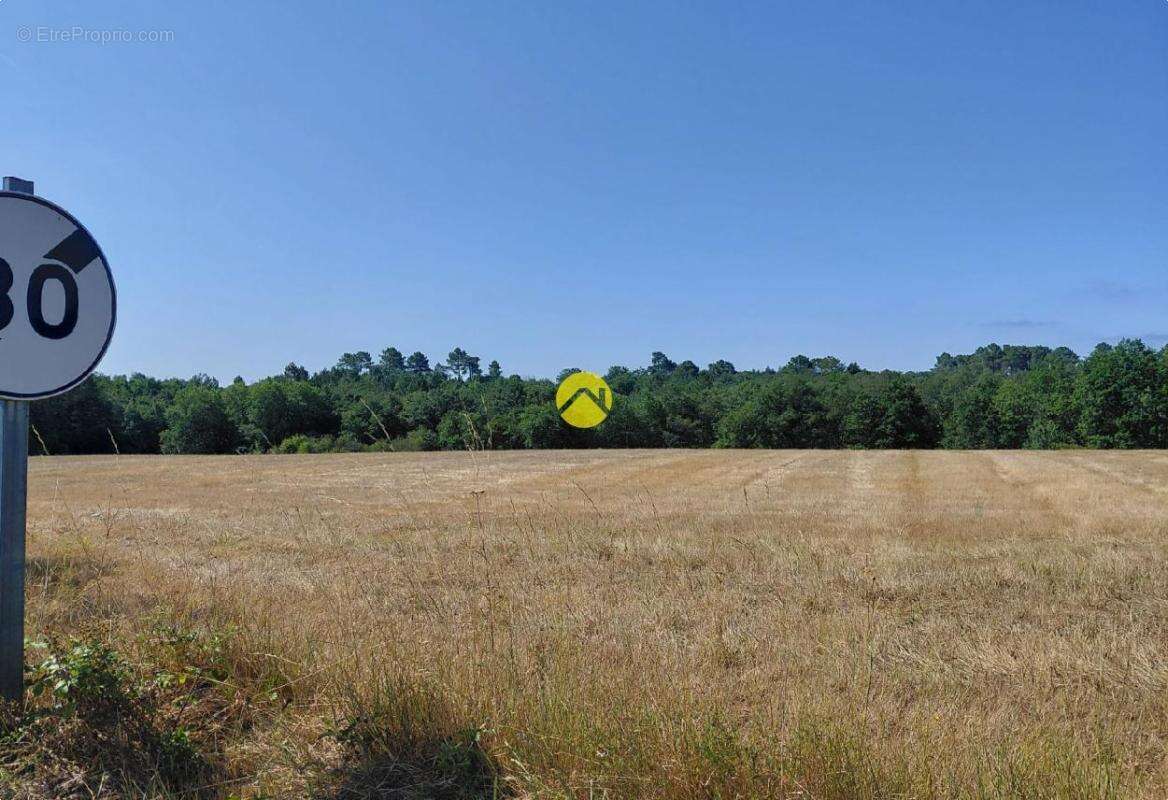 BELLE Terrain agricole - photo 3