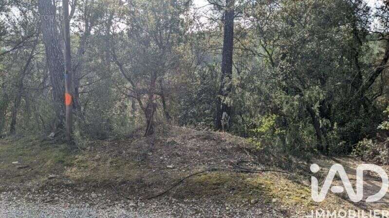 Photo 4 - Terrain à LORGUES