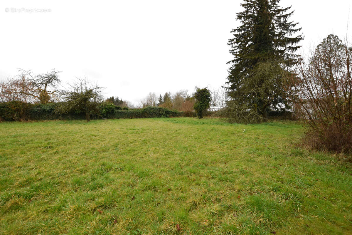 Terrain à EXINCOURT