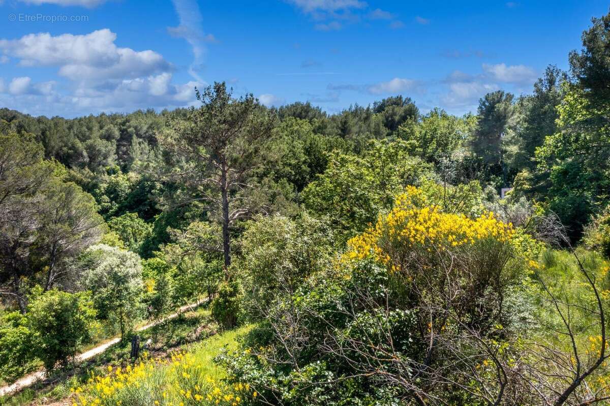 Photo 2 - Terrain à DRAGUIGNAN