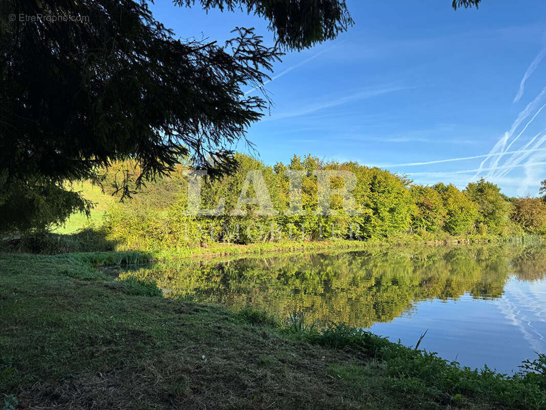 Terrain à MOULINS-LA-MARCHE