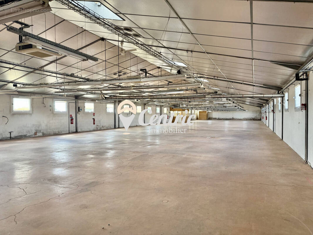Commerce 3422 m² à Chiche  - photo 1