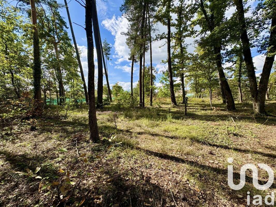 Photo 9 - Terrain à MARSAC-SUR-L'ISLE