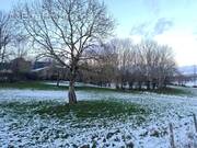 Terrain à ROCHEFORT-MONTAGNE