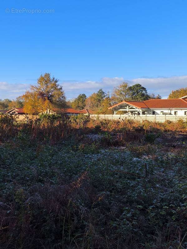 Terrain à BISCARROSSE