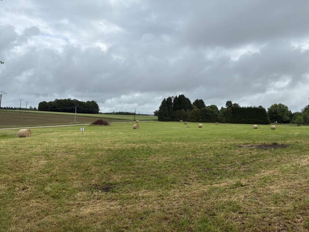Terrain 5750 m² à Plombieres-Les-Bains  - photo 2