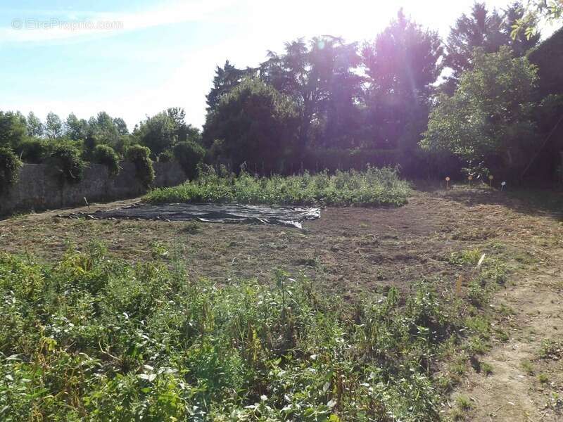 Maison à SAINTE-THERENCE