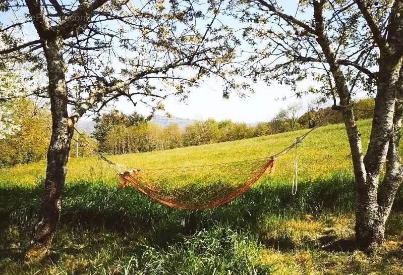 Maison à SAINT-ANDRE-DE-NAJAC