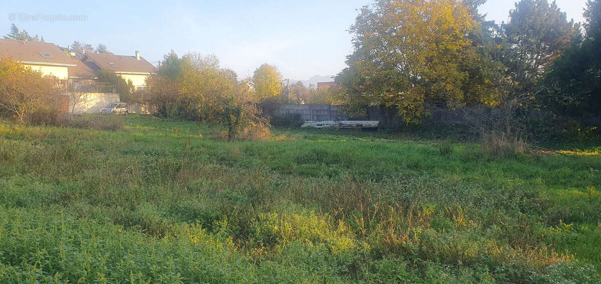 Terrain à CRANVES-SALES