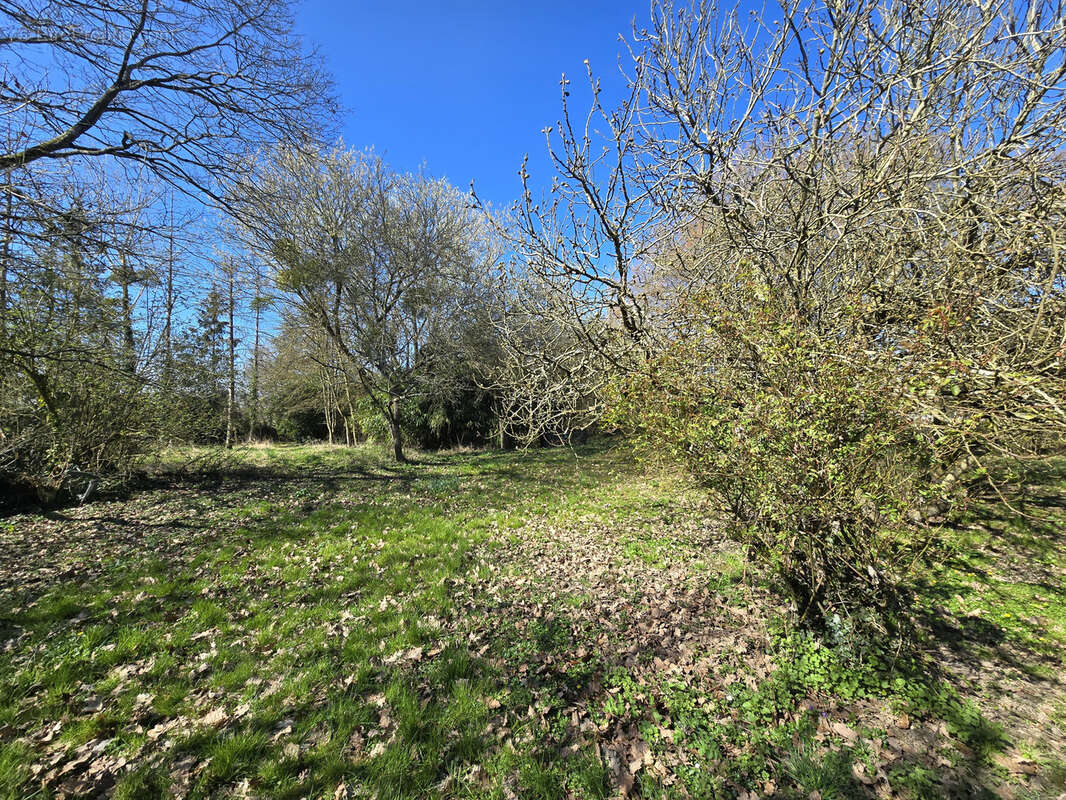 Maison à BETON-BAZOCHES