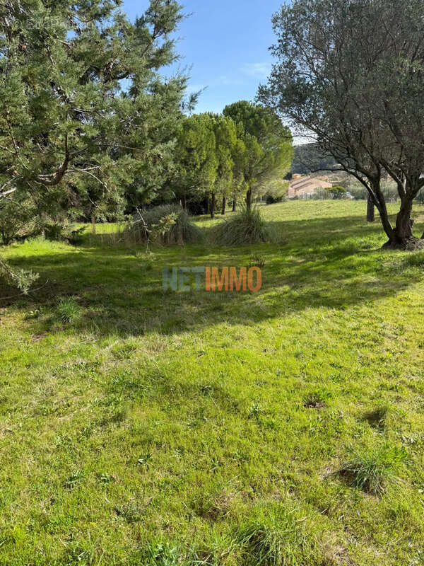 Terrain constructible Clermont l'Hérault - photo 5