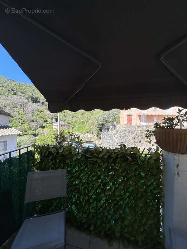 Appartement à CERVIONE