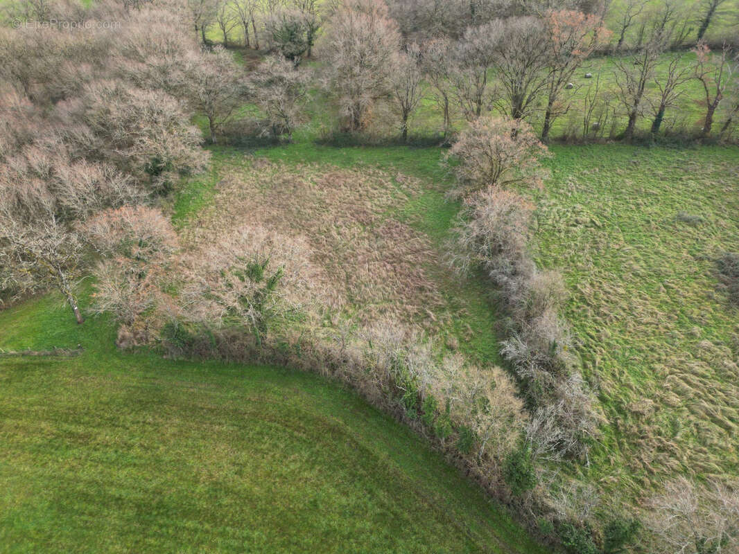 Prairie naturelle dans l'INDRE - photo 4