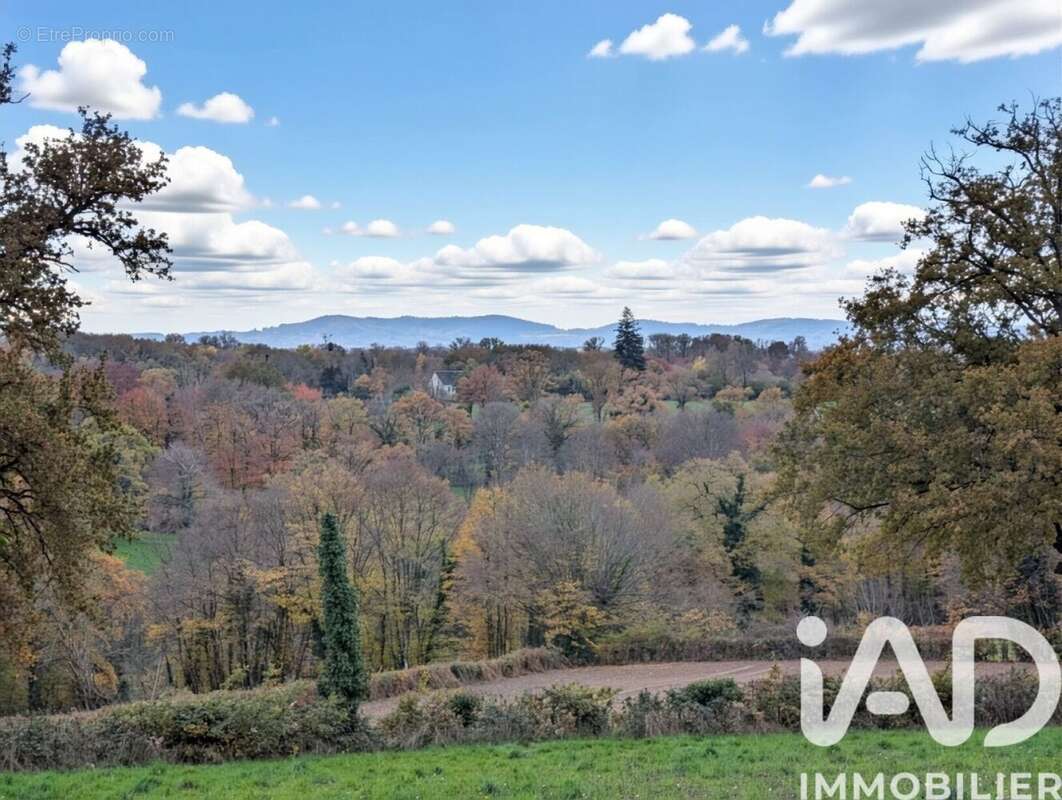 Photo 3 - Maison à MORTROUX