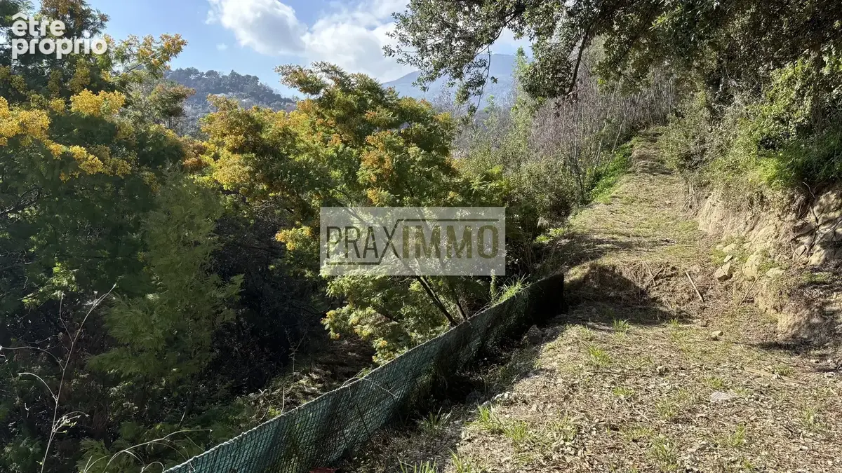 Terrain 3 072 m² à vendre à Sainte-Agnes (06500) - photo 6