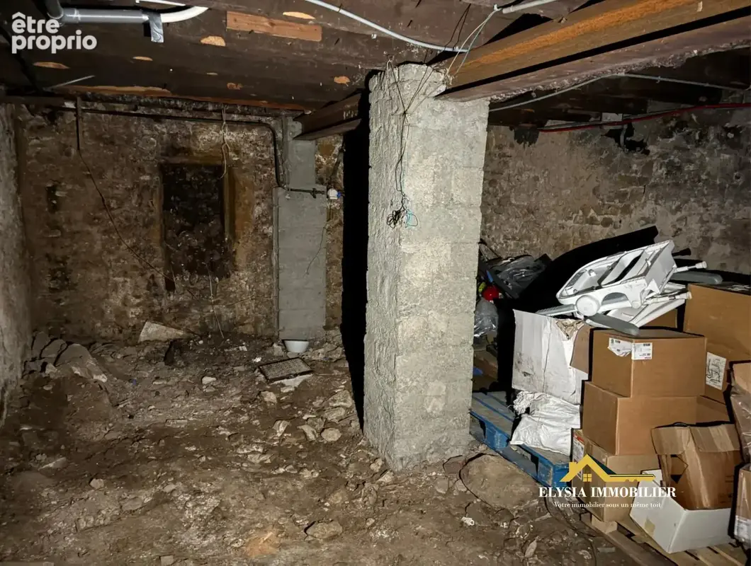 Cave 41,72 m2 NANCY 54000 - photo 4