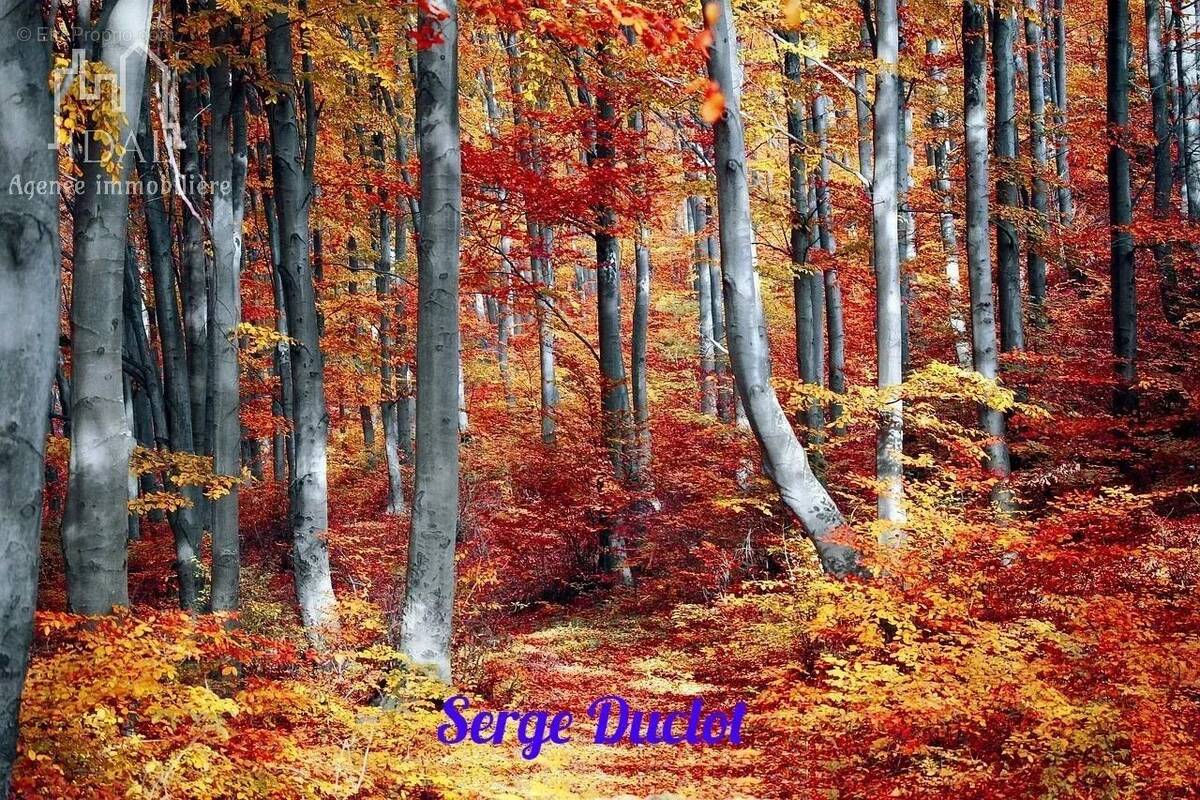 Terrain à SAINT-DENIS-EN-MARGERIDE