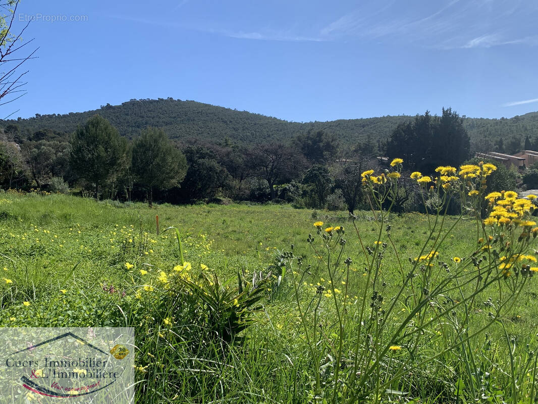 Terrain à LE PRADET
