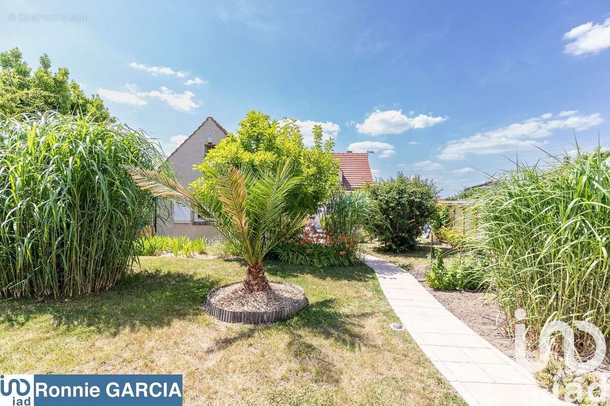 Photo 7 - Maison à MORANGIS