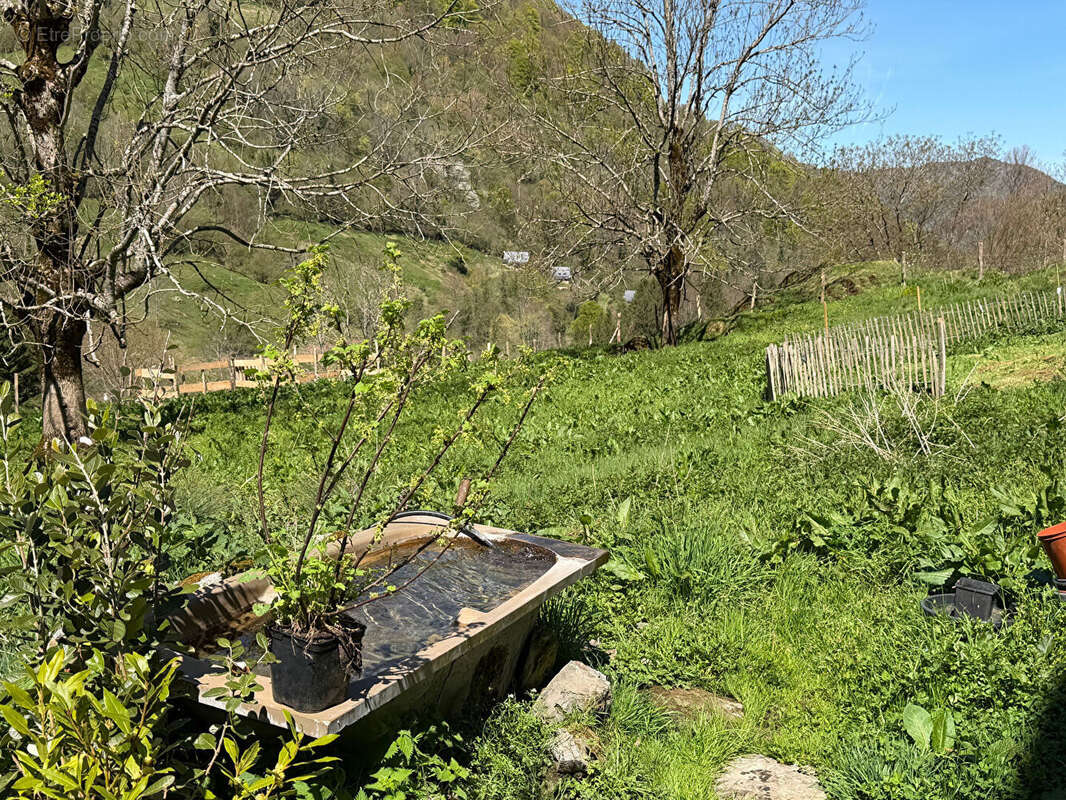 Propriété rurale,3 granges,5 Ha,source,09800 - photo 14