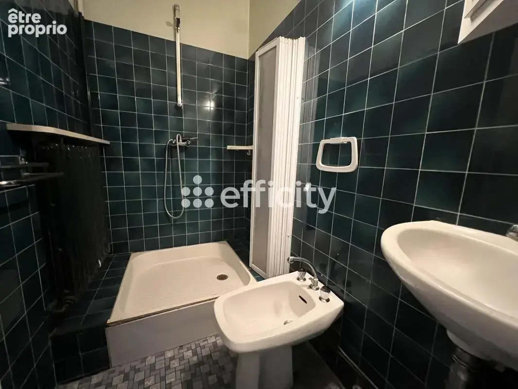 Maison 8 pièces 200 m² à vendre à Beaumont-La-Ronce (37360) - photo 8