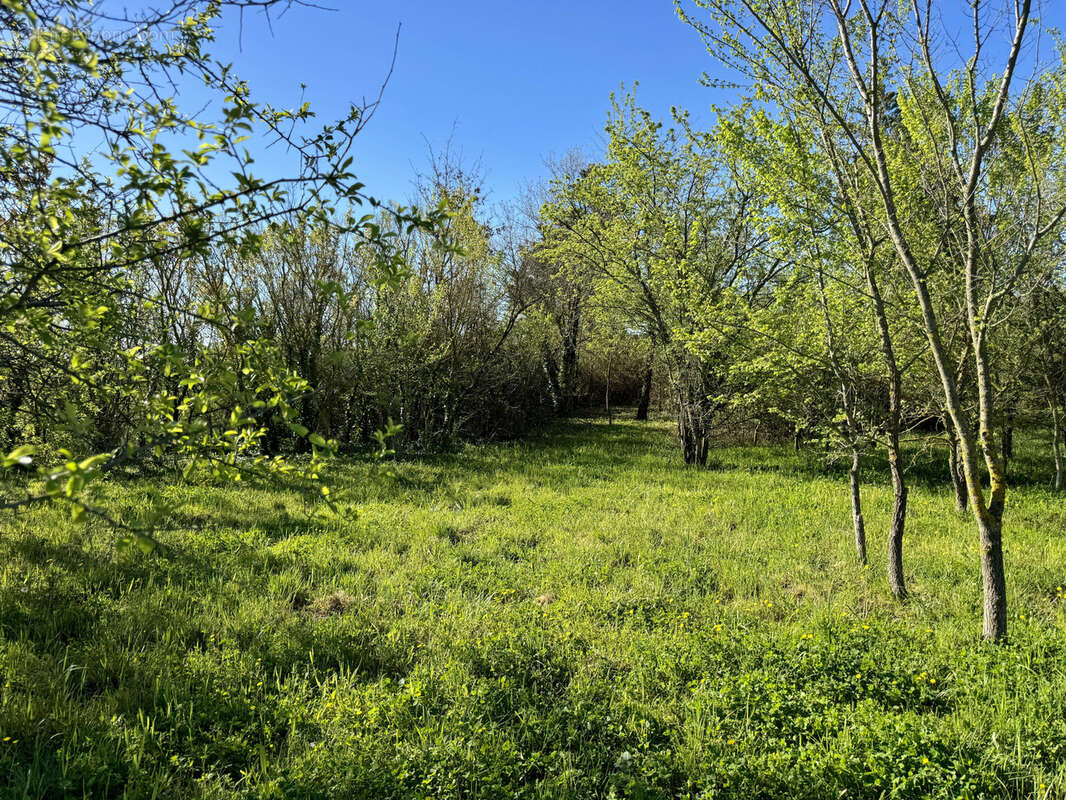 Terrain à LA BRUGUIERE