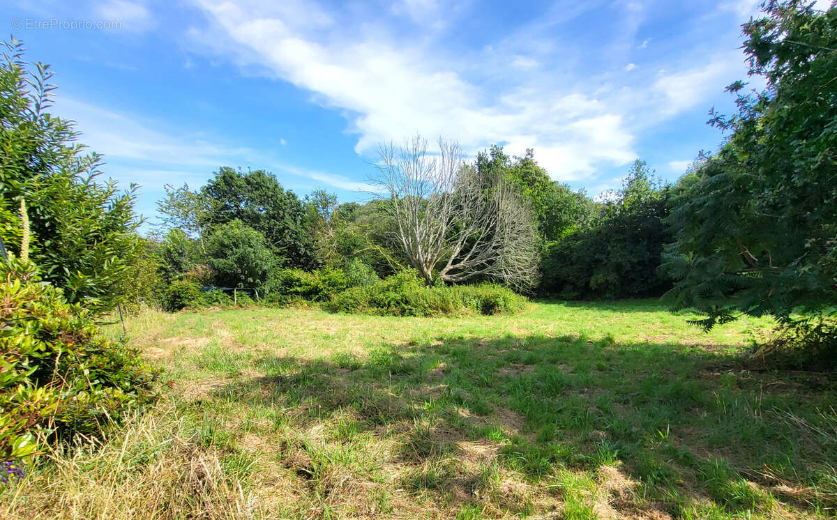Pleuven - L'Immobilier du Finistère - Réseau ExprtImo - Anthony Estrade - photo 2
