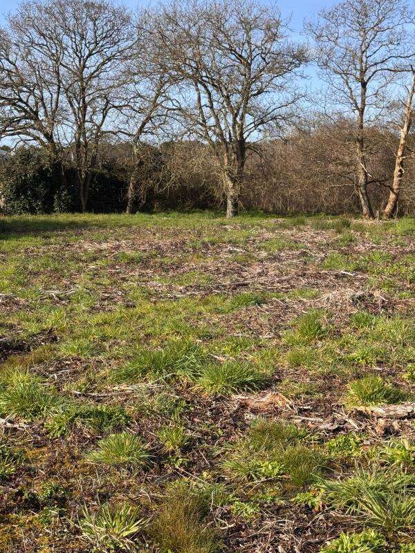 Terrain à LA BAULE-ESCOUBLAC