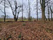 Terrain à SAINT-GEOURS-DE-MAREMNE