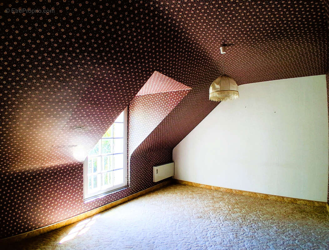 Maison de village milieu XIXè - Grand grenier aménageable - photo 19