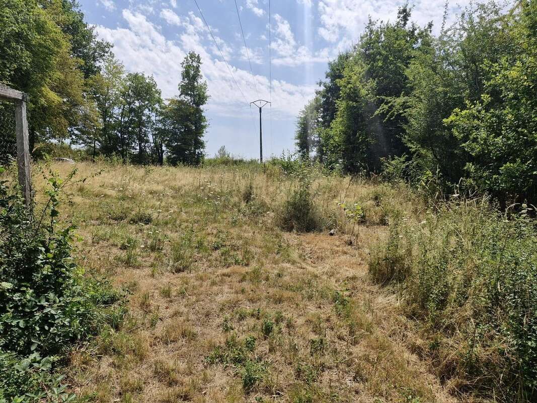 Terrain 20000 m² à Verneuil-Sur-Vienne  - photo 2