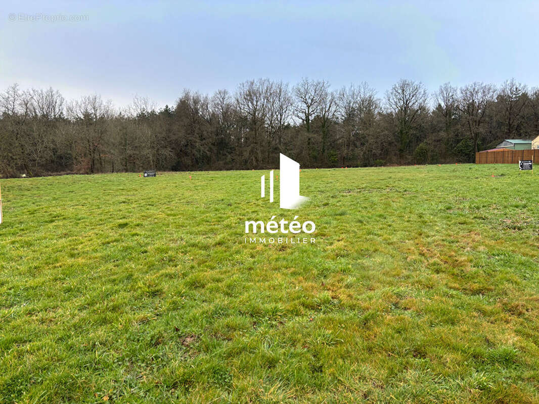 Terrain à TALMONT-SAINT-HILAIRE
