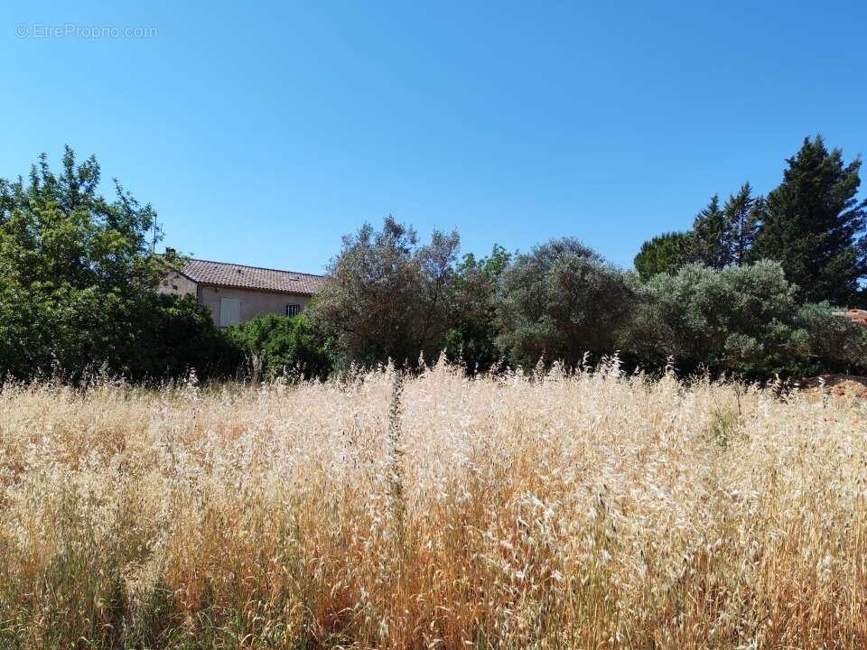 Terrain 628 m² à Lorgues  - photo 8