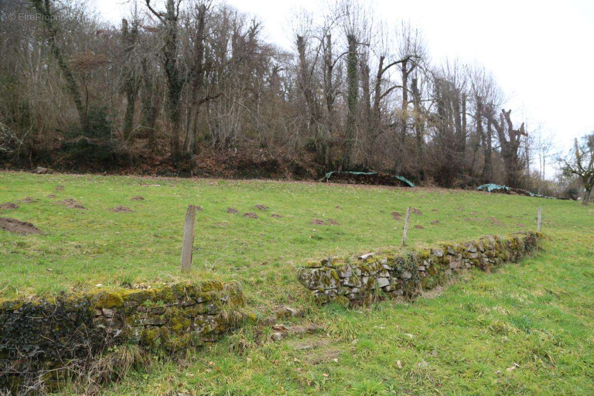 Maison de campagne sur 2 727 m² de terrain avec vue dégagée - photo 9