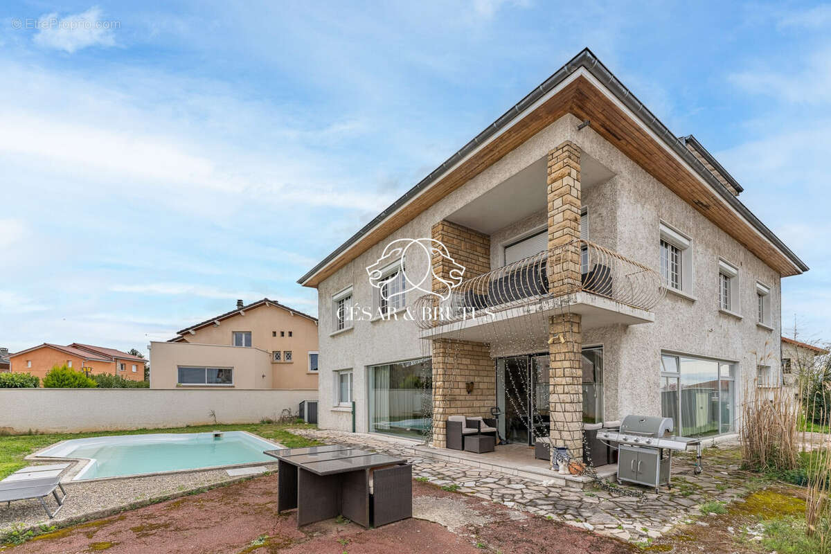 Maison 350 m² à Saint-Laurent-De-Mure  - photo 5