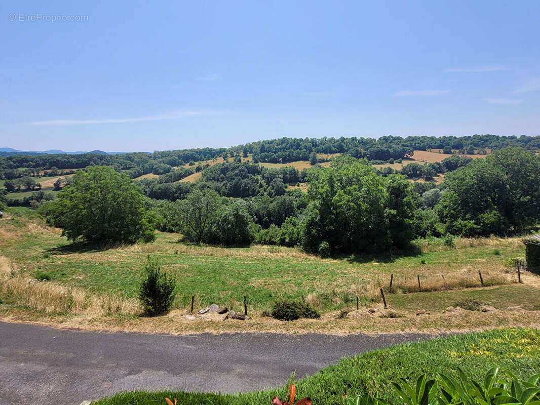 Terrain à POLIGNAC