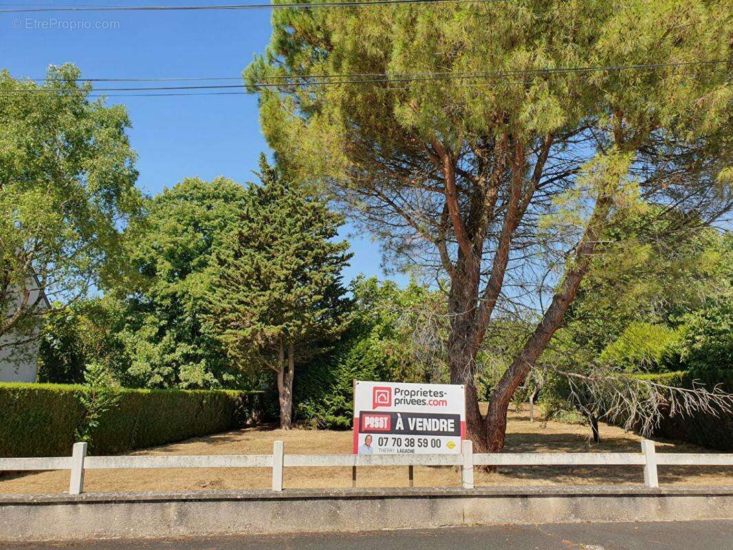 Terrain à SAINT-MAUR