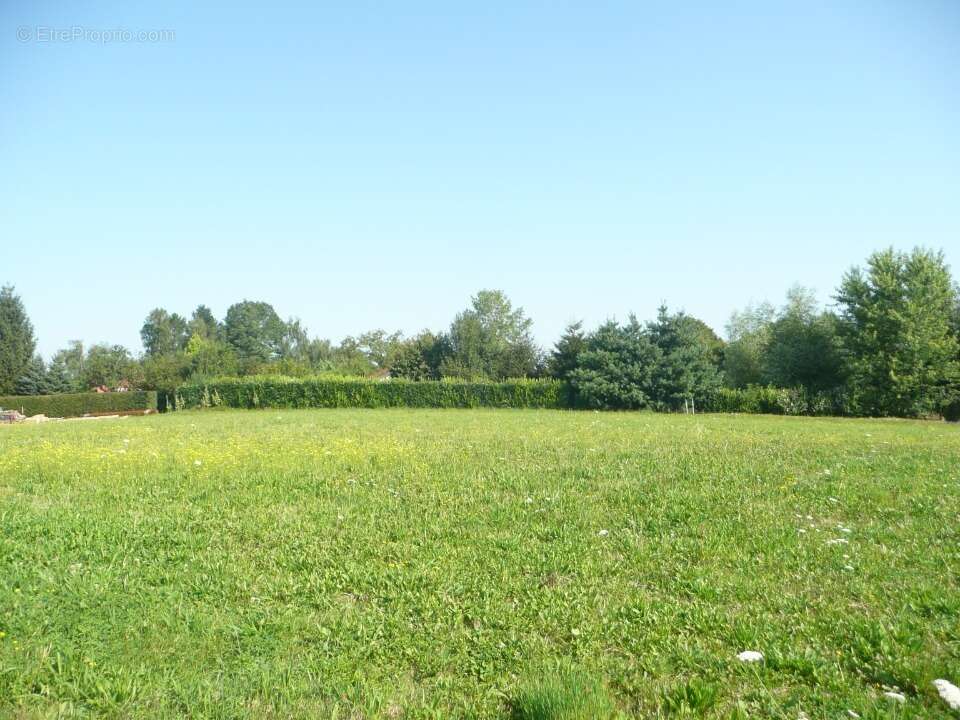 Terrain à CHEVROUX