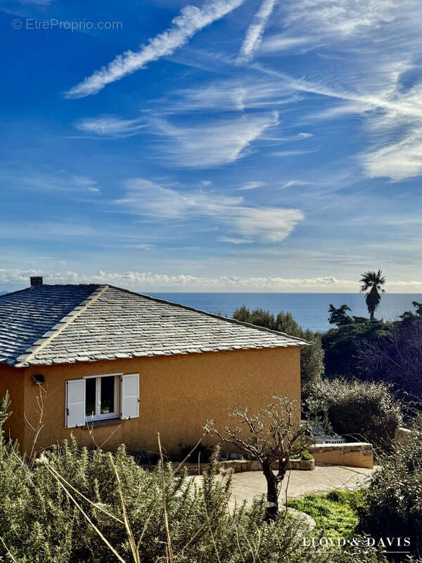 Maison à SISCO
