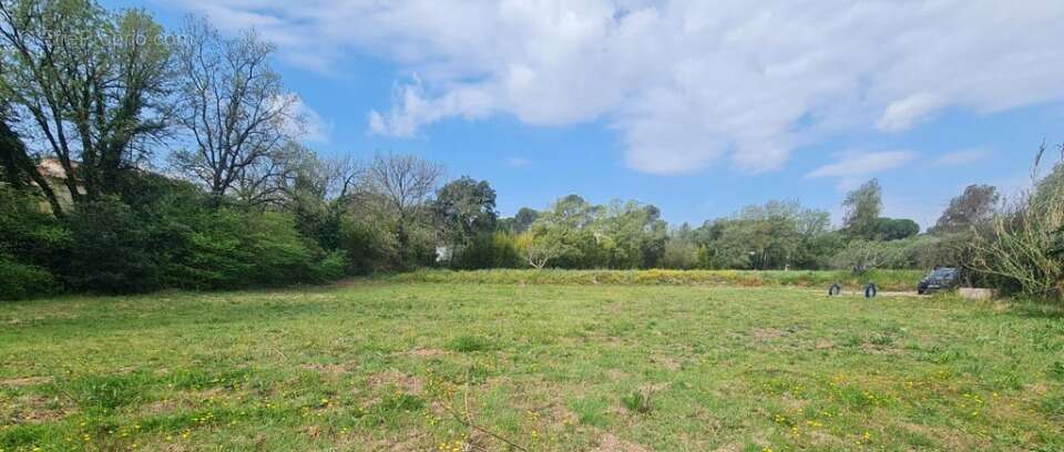 Terrain à PUGET-SUR-ARGENS