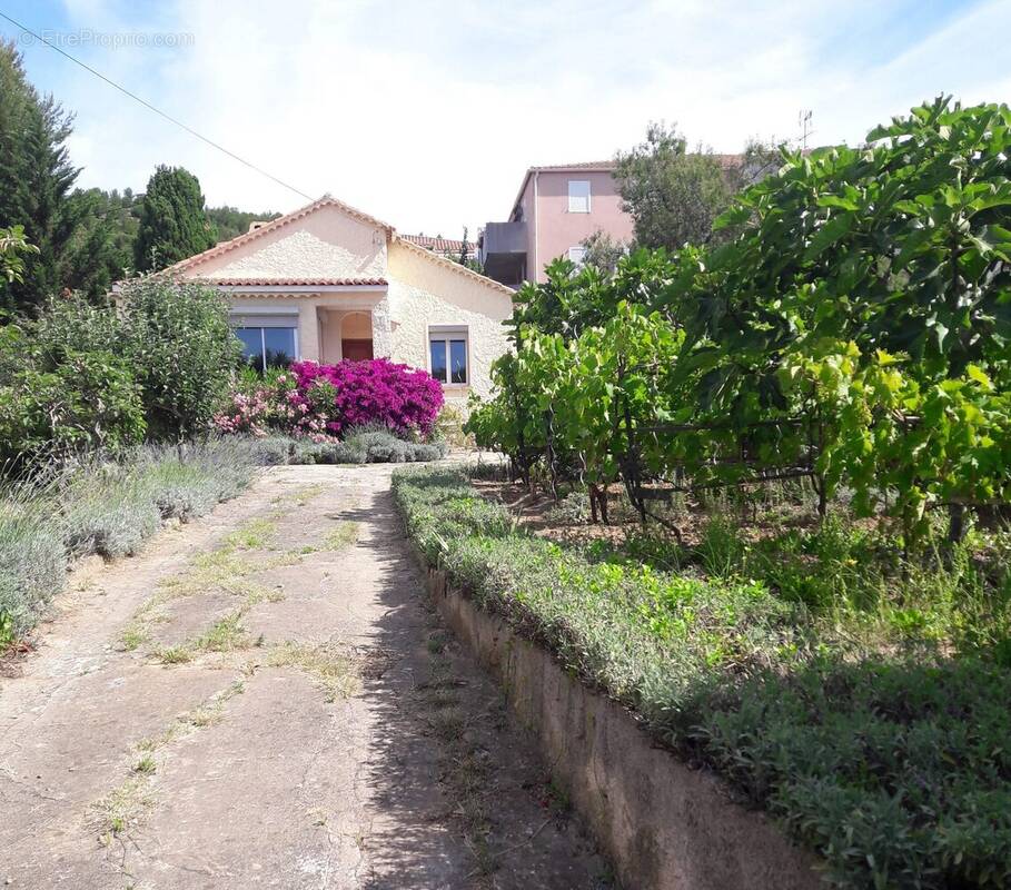 Vue à partir du portail - Maison à SIX-FOURS-LES-PLAGES