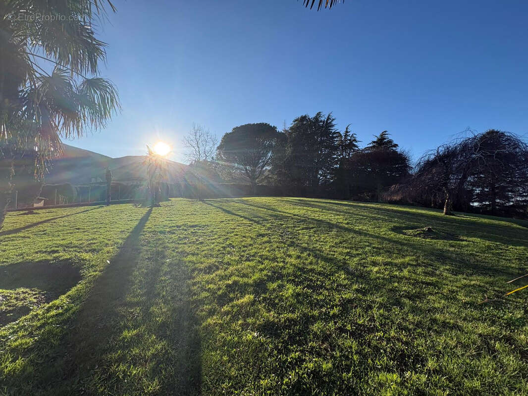 Maison à SAINT-AMANS-SOULT