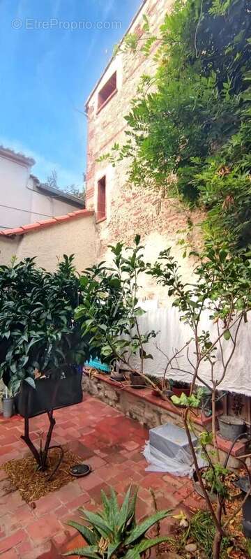 Maison de village - patio + terrasse - elne - photo 11