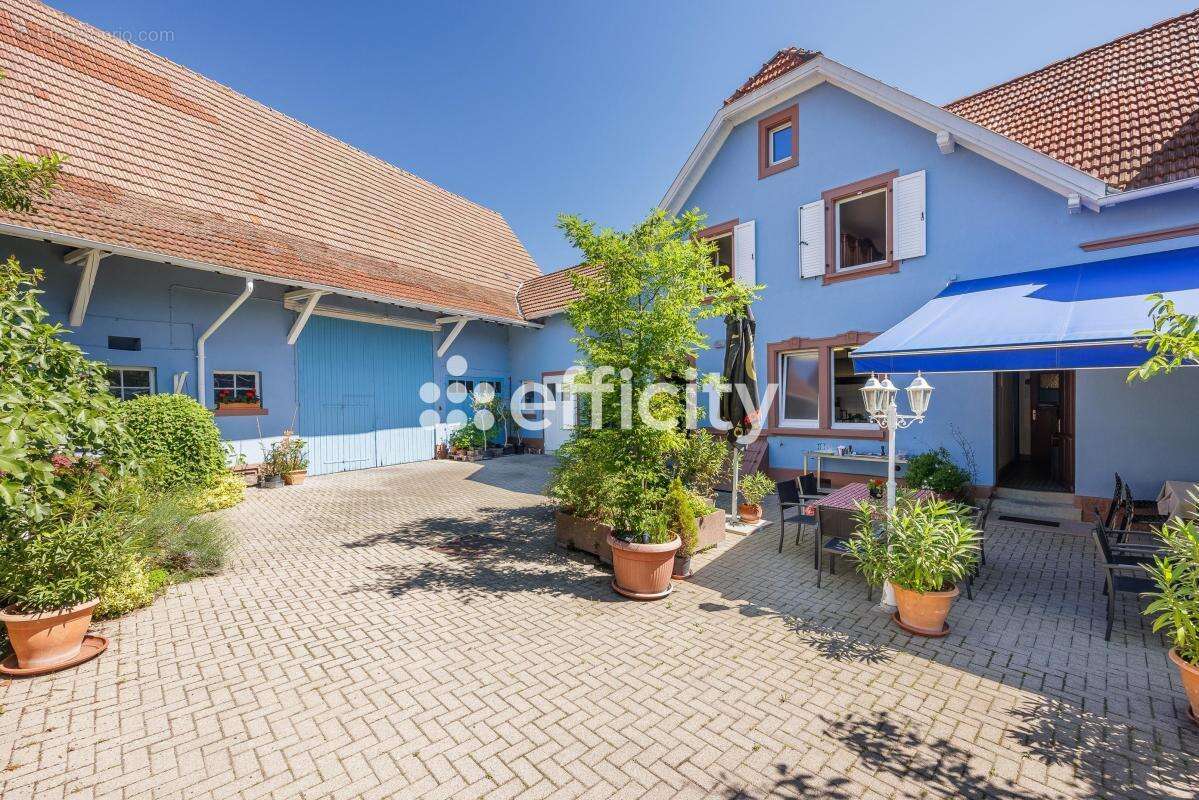 Divers maison - photo 6