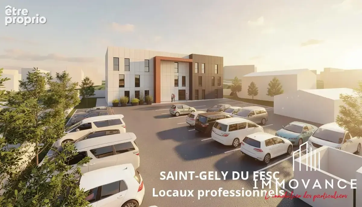 Commerce 286 m² à vendre à Saint-Gely-Du-Fesc (34980) - photo 1