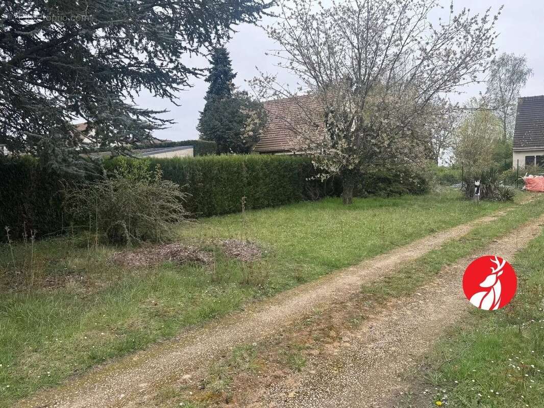 Terrain à SAINT-MARTIN-EN-BIERE