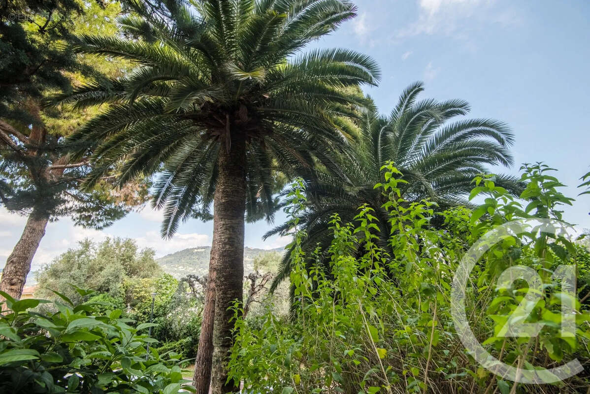 Appartement 74 m² à Nice  - photo 14